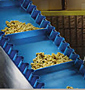Conveyor Belting